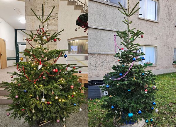 Besinnliche Geste: Gemeinschaftsgeist und Weihnachtsfreude durch Baumspenden